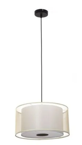 Aneta Pendule