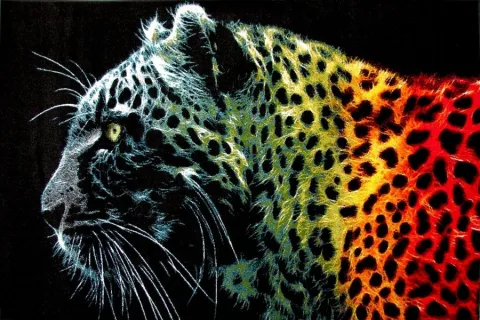 Covor Multicolor cu Leopard 11016/180