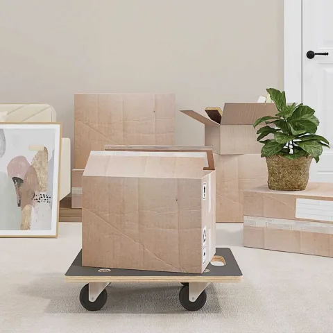 vidaXL Cărucioare transport 2 buc dreptunghiulare 50x35x11,5 cm 250 kg
