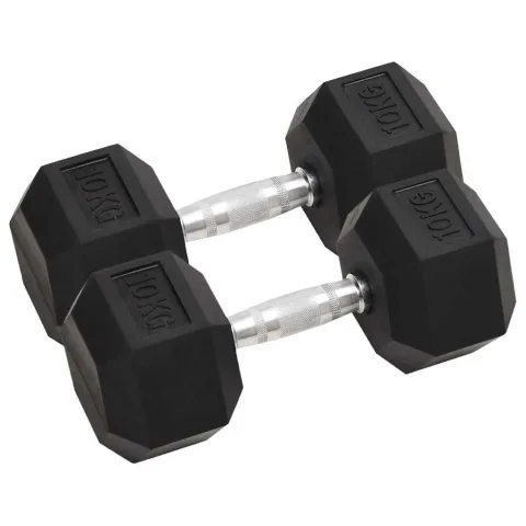 vidaXL Gantere, 2 buc., 10 kg, total fontă