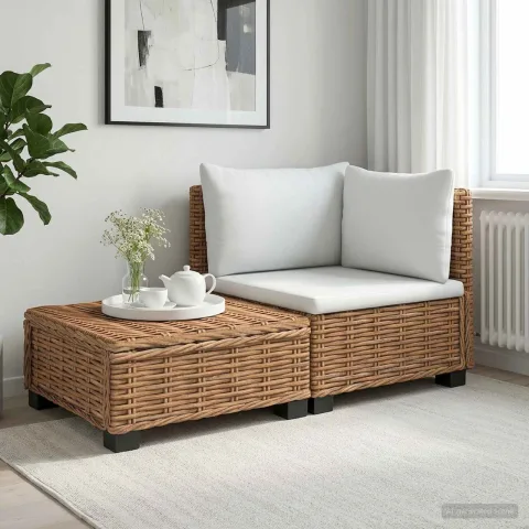 vidaXL 2 buc. Set de Lounge din Ratan cu Perne GENDT Ratan Natural