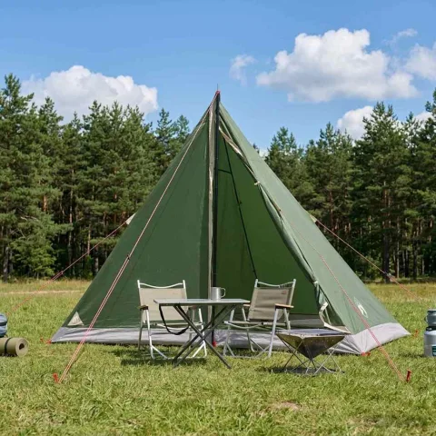 vidaXL Cort de backpacking 2 persoană Verde