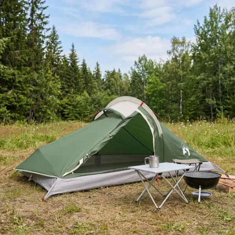 vidaXL Cort de backpacking 2 persoană Verde