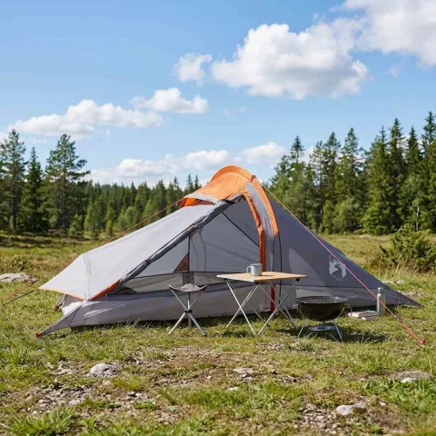 vidaXL Cort de backpacking 2 persoană Gri și Portocalie