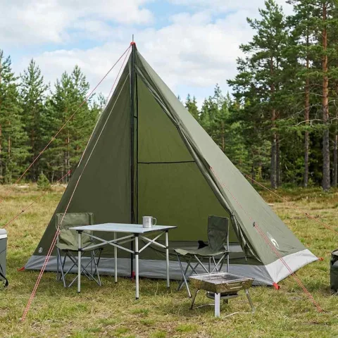 vidaXL Cort de backpacking 2 persoană Verde măsliniu