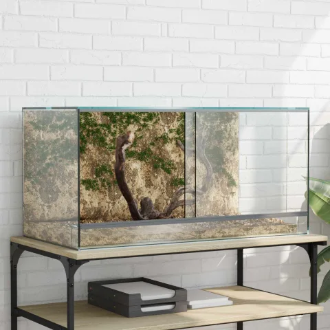 vidaXL Terariu cu depozitare Transparent 80 x 40 x 40 cm Sticlă