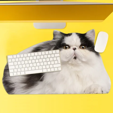 Mouse Pad - Pisică
