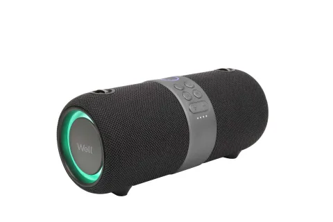 Boxa portabila cu Bluetooth Bounce Well