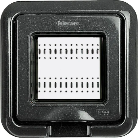 Placa ornament 2 module IP55 Bticino Living Light 24602L, antracit