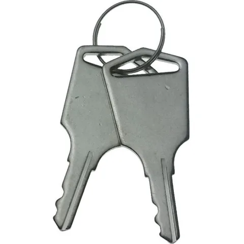 Set 2 chei pentru automatizarea Powertech PW200