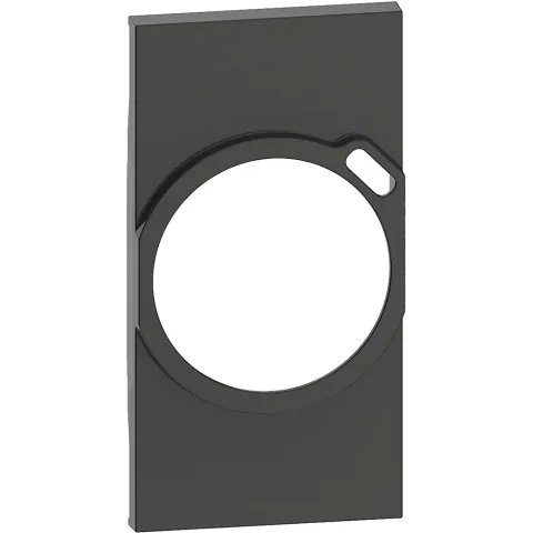 Placa 2 module pentru referintele KW4141USB, KG4141USB, KM4141USB Bticino Living Now KG63, negru