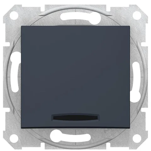 Intrerupator simplu 10 AX cu indicator luminos Schneider Sedna SDN0400370, grafit