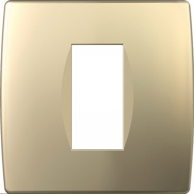 Modul Soft Rama 1/2M IP20 Aur, TEM Modul TEM-OS10SG-U
