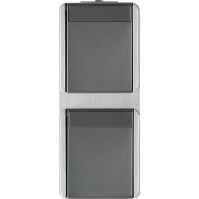 Fontana Priza dubla vert CP gri, TEM Modul TEM-CF11GY-U