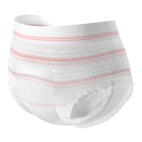 Chiloti postnatali de unica folosinta 2 in 1 marimea L/XL, 5 bucati, Canpol babies