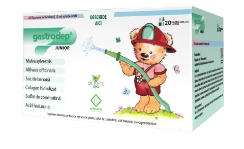 Gastrodep Junior, 20 flacoane, Dr. Phyto